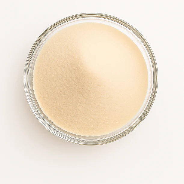 Bifidobacterium  longum icon