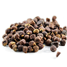 CaloriBurn GP® icon