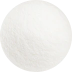 Lactobacillus acidophilus icon