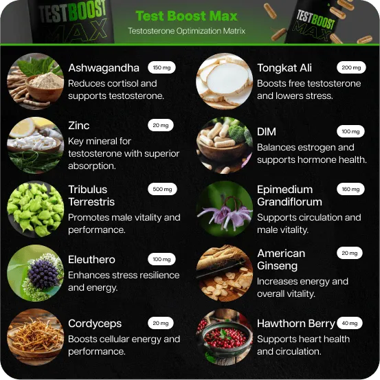Test Boost Max + Burn Evolved 2.0 (Copy for testing Recharge subscription )