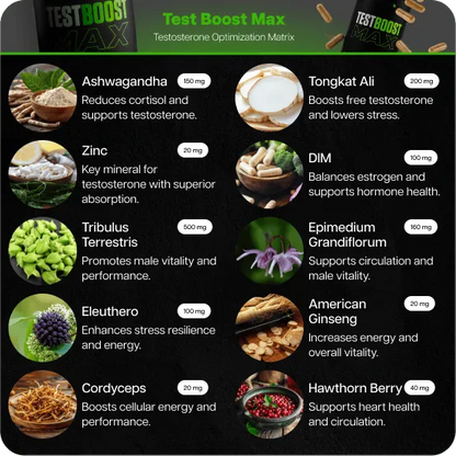 Test Boost Max + Burn Evolved 2.0 (Copy for testing Recharge subscription )