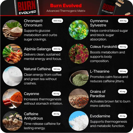 Test Boost Max + Burn Evolved 2.0 (Copy for testing Recharge subscription )