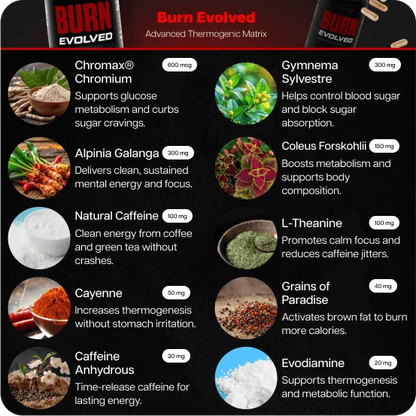Test Boost Max + Burn Evolved 2.0 (Copy for testing Recharge subscription )