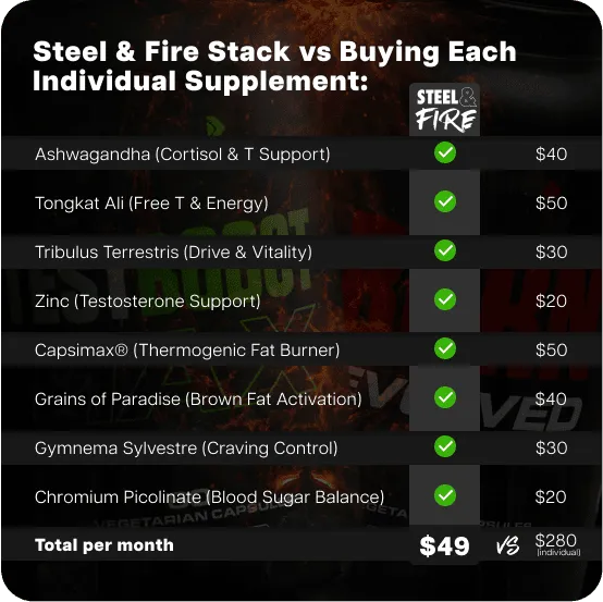 Test Boost Max + Burn Evolved 2.0 (Copy for testing Recharge subscription )