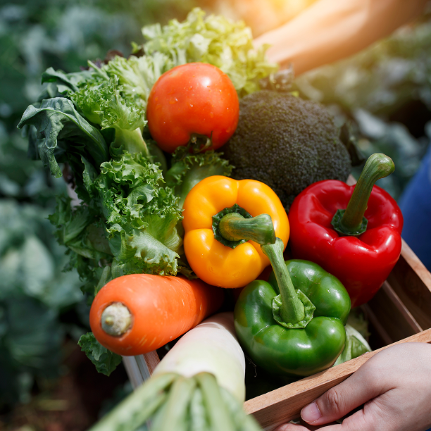 Multi Vitamin -  Complete Daily Nutrition Support image 2