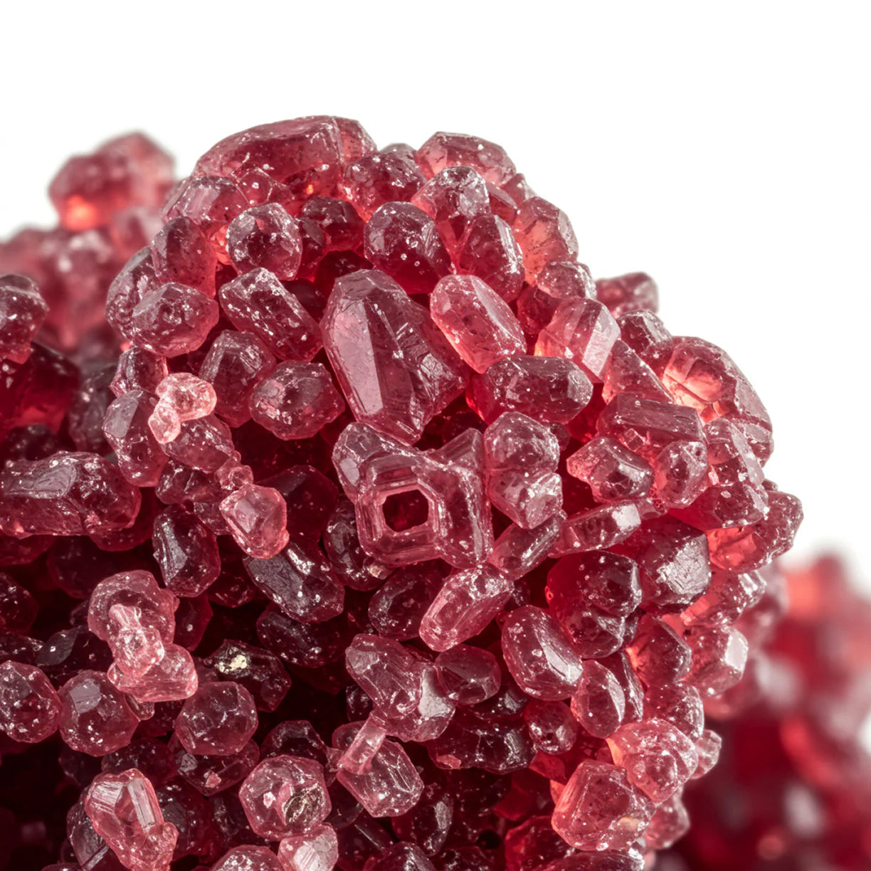 Vitamin B Complex (B1, B2, B3, B5, B6, B12, Folate) icon