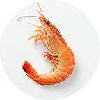 Antarctic Krill Oil (Phospholipid Form) icon