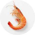 Antarctic Krill Oil (Phospholipid Form) icon