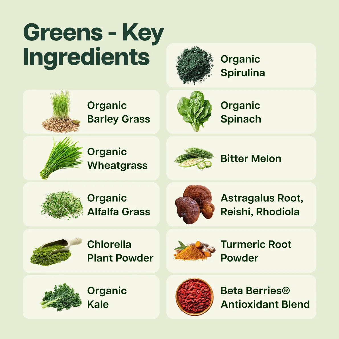 Greens Supplement - Complete Superfood & Antioxidant Formula