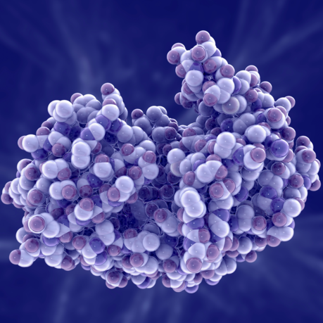 Enzymes -  Complete Digestive Support Formula image 2