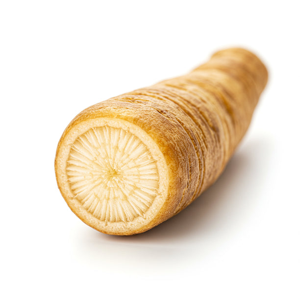 Dandelion Root icon