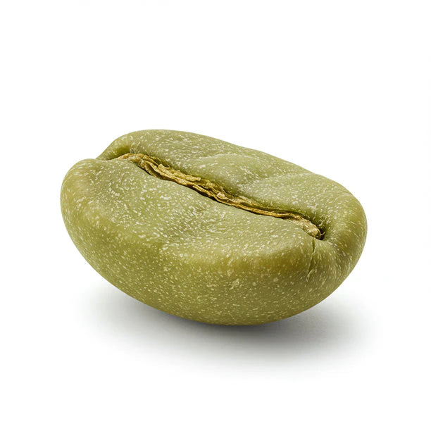 Green Coffee Bean Extract icon