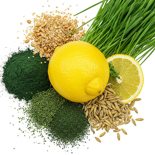 Green Balance Alkalizing Blend (2.5g) icon