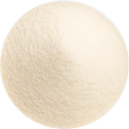 Bifidobacterium  longum icon