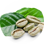 InnovaGreen™ & CaffXtend® icon