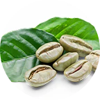 InnovaGreen™ & CaffXtend® icon