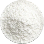 Lactobacillus bulgaricus icon