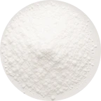 Lactobacillus paracasei icon