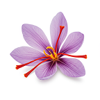 Saffron Flower Extract icon