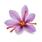 Saffron Flower Extract icon