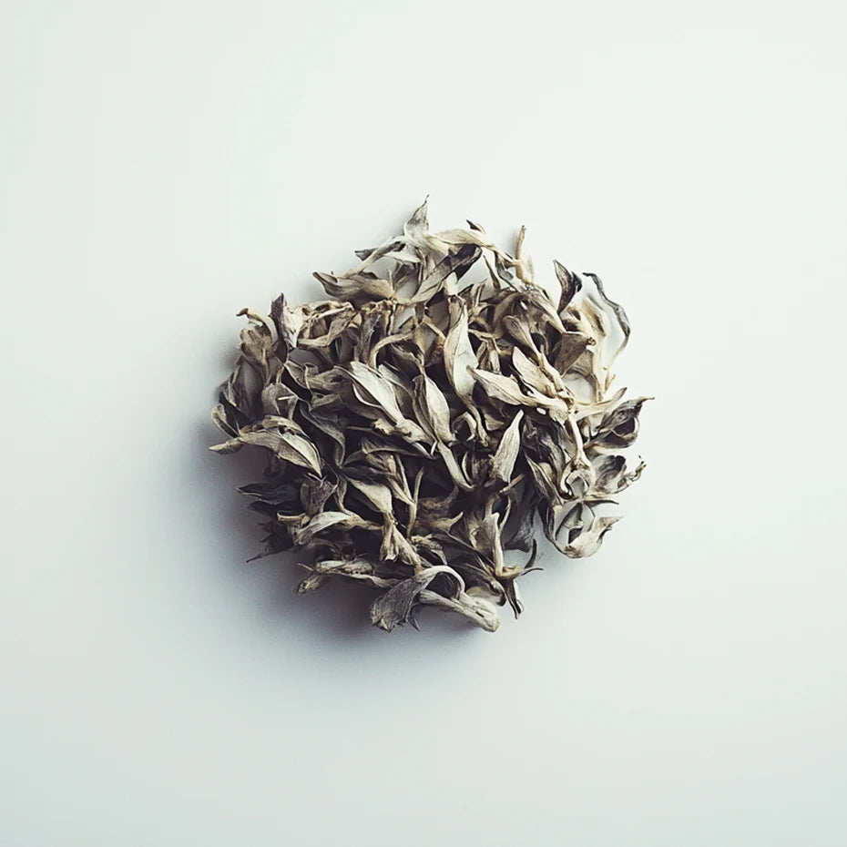 Prolanza™ (Ashwagandha) icon