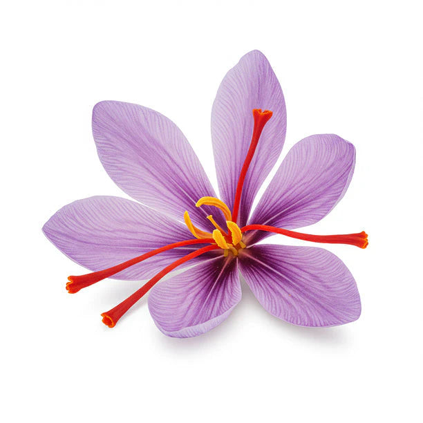 Saffron Flower Extract icon