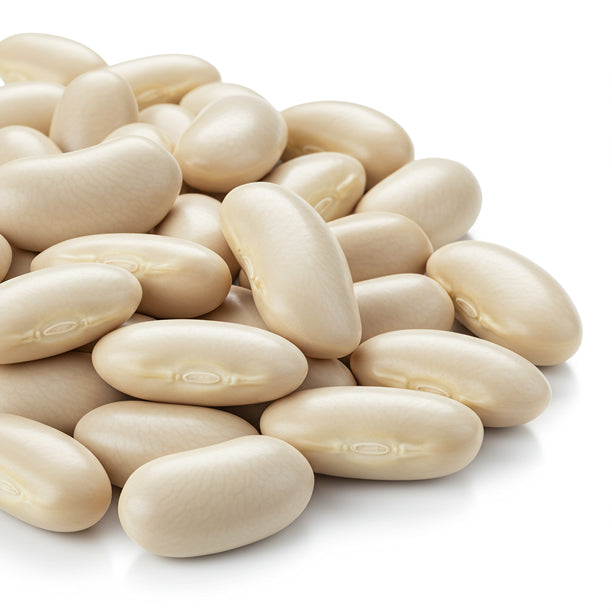 White Kidney Bean Extract  icon