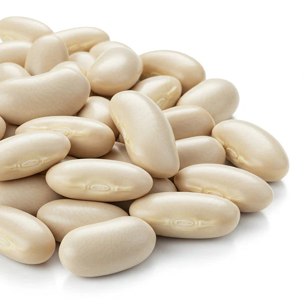 White Kidney Bean Extract  icon